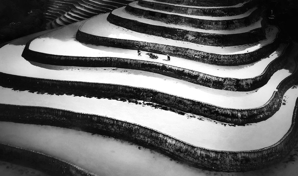 SUNNY ON THE MOUNTAIN