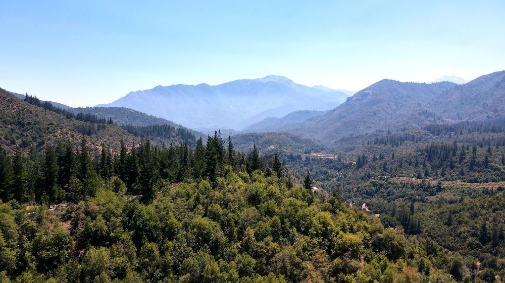 Photograph by Ariel Kergall