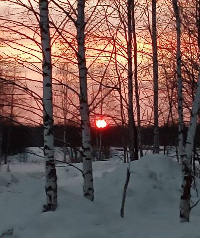 Встает заря во мгле холодной