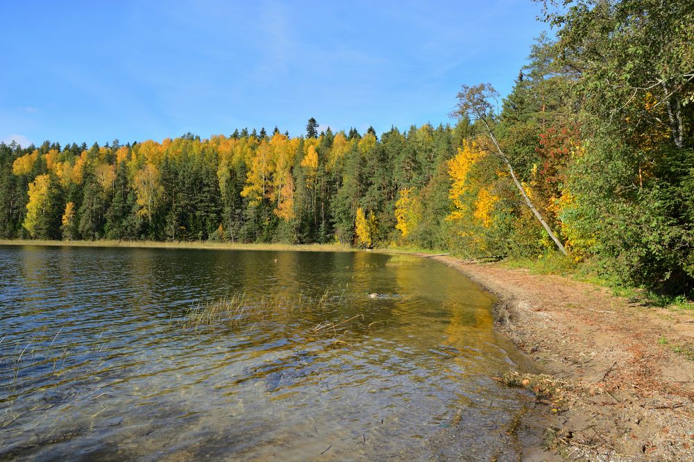 Photograph by Александр Калегин