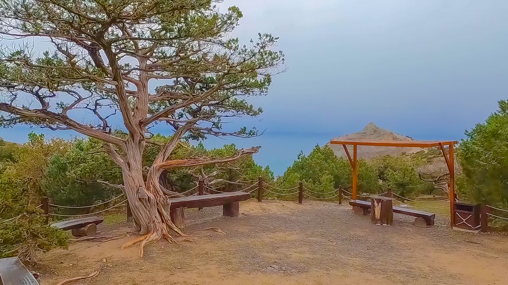 Photograph by Дмитрий Граждан