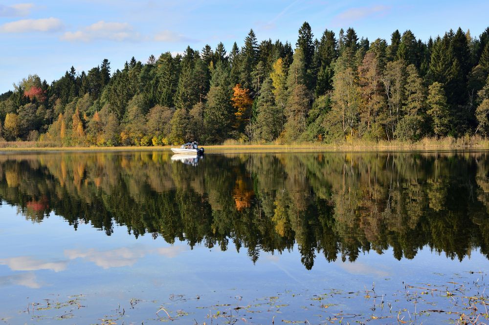 Photograph by Александр Калегин