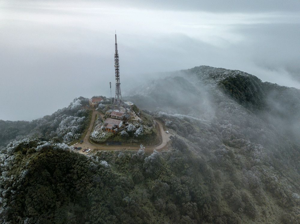 Фотография автора Đào Cảnh