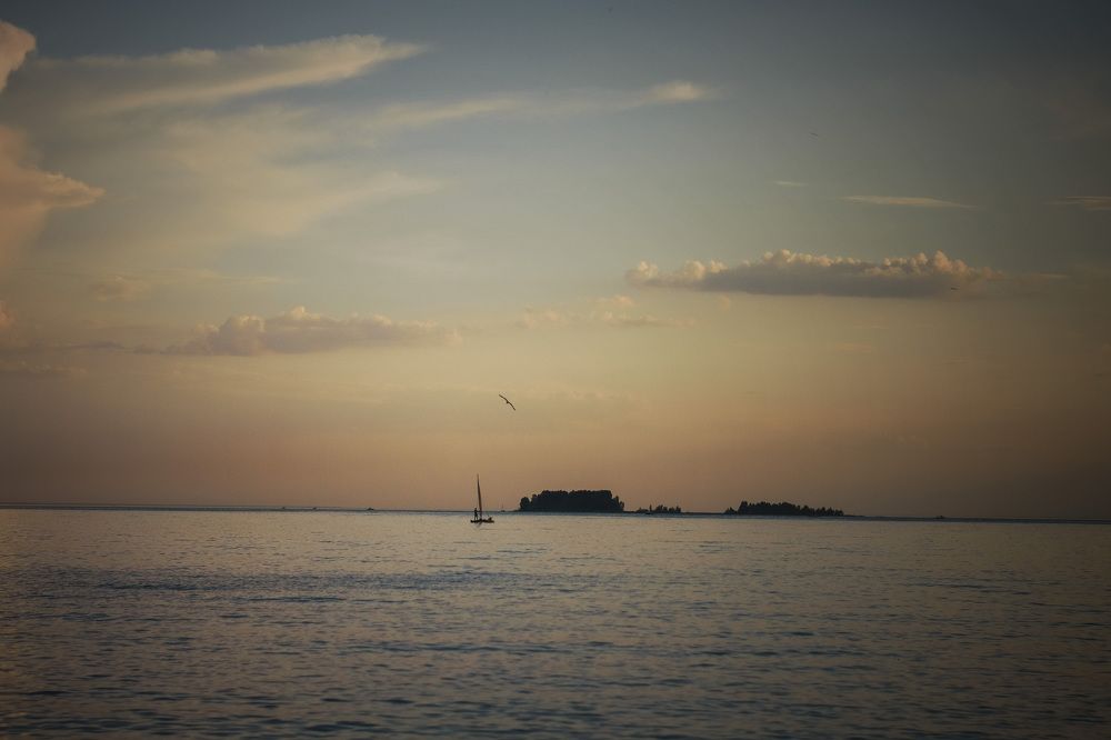 Photograph by Ирина Стоянкова