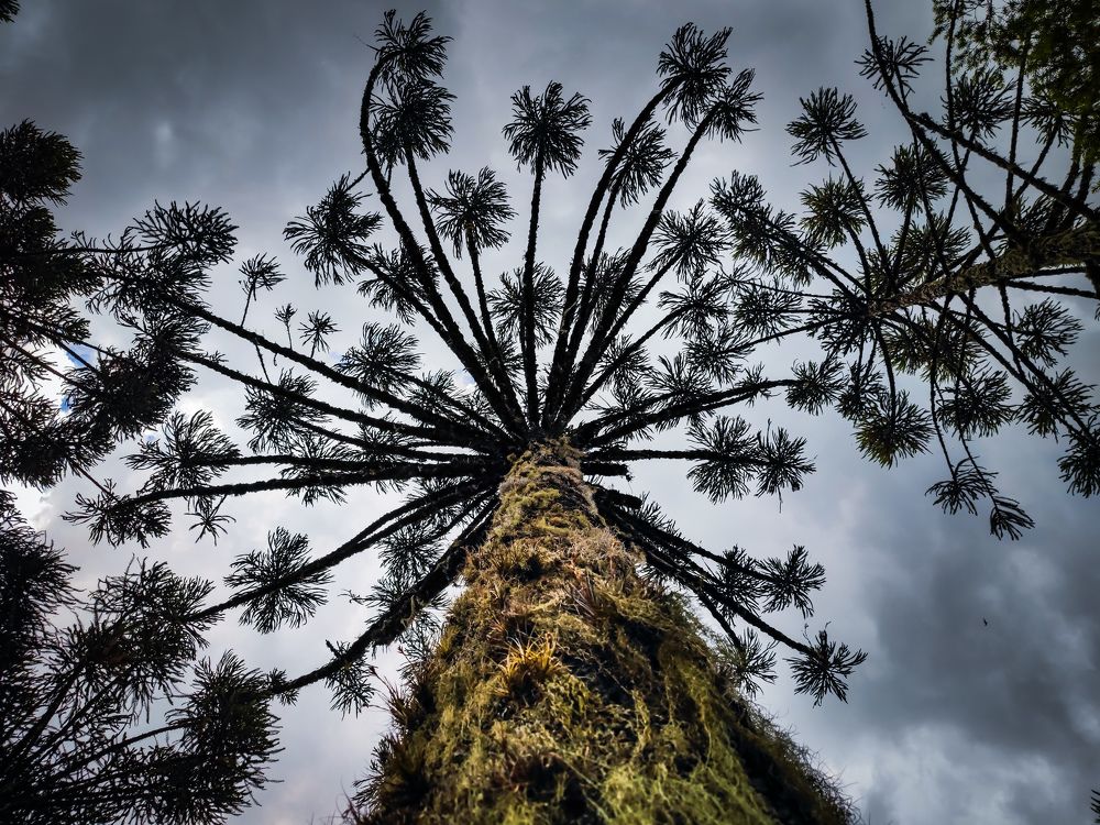 Photograph by Vinicius Dattwyler