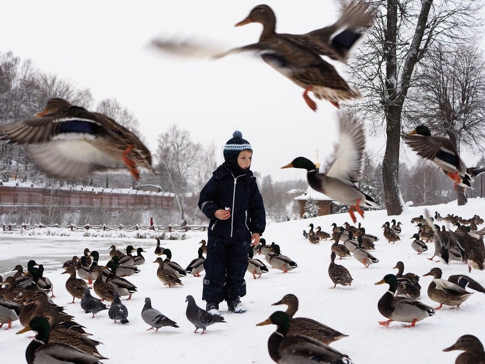 Photograph by Елена Острахович