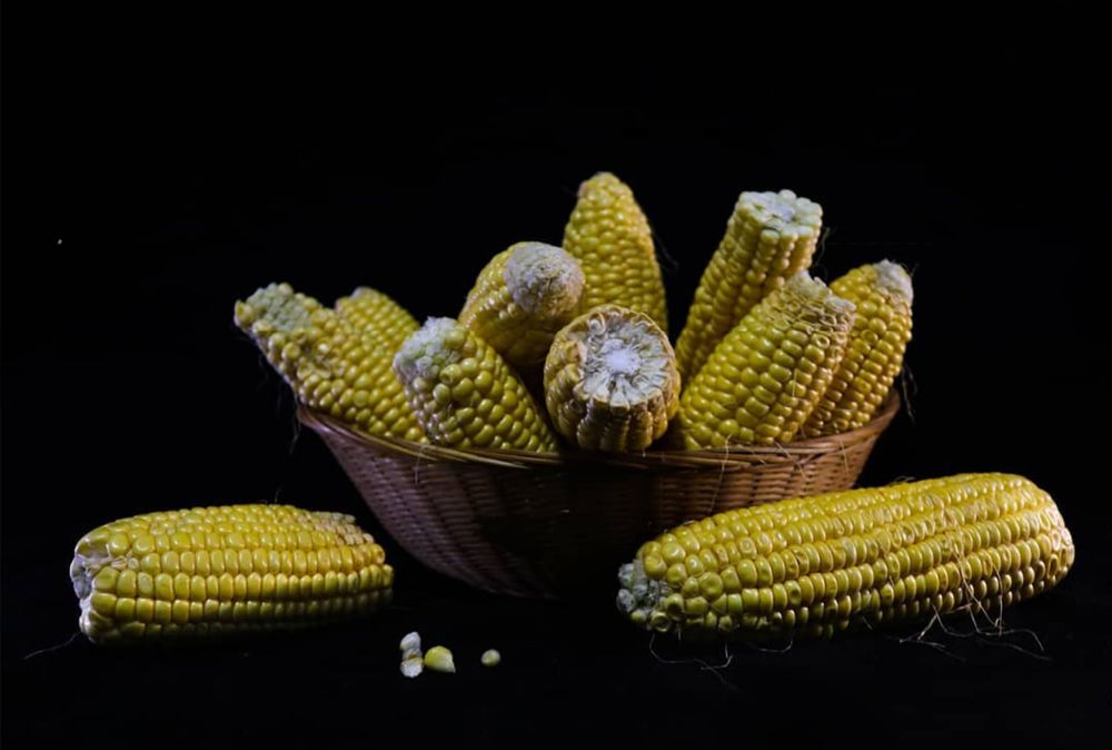 Photograph by Gonzalo Jorge Eduardo MARÓN