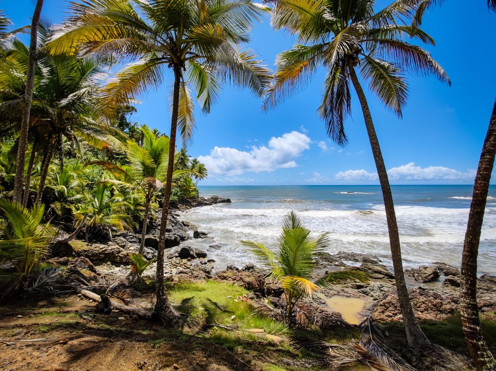 Photograph by Vinicius Dattwyler