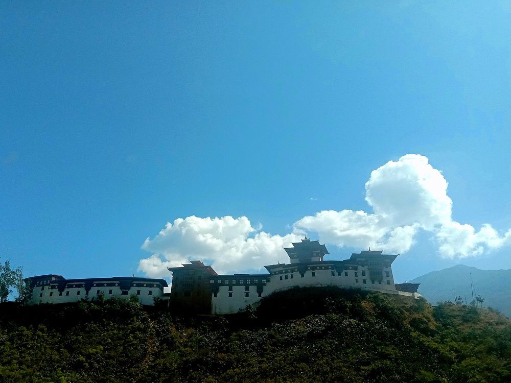 Photo #7361342