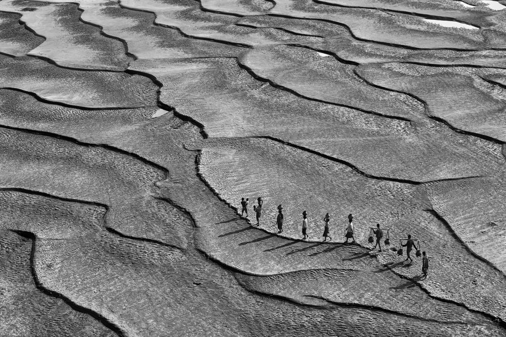 Beautiful Line Shape