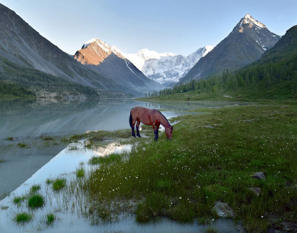 Photograph by Светлана Крат