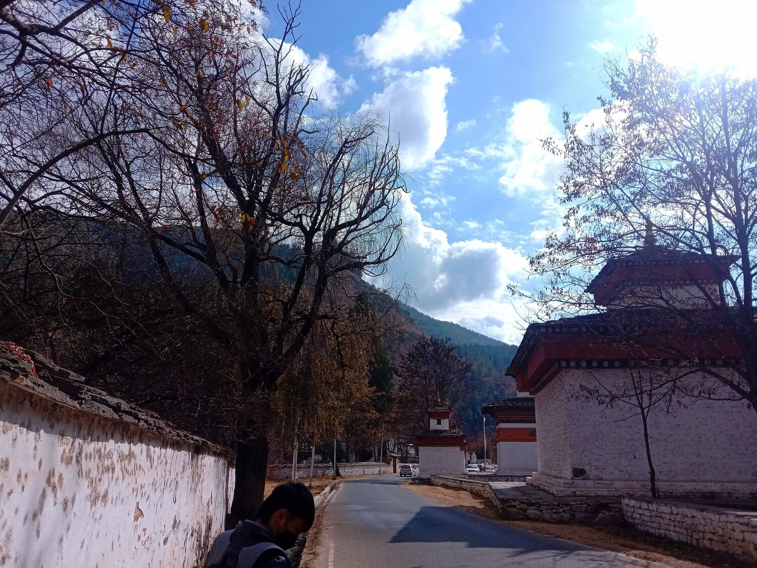 Photo #7361361