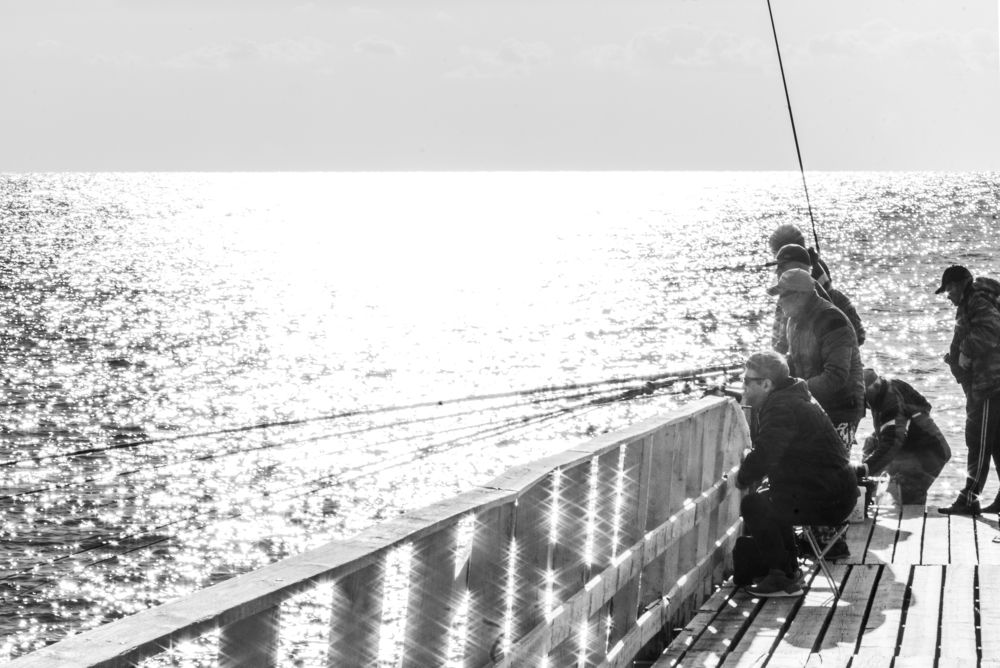 Photograph by Людмила Волдыкова