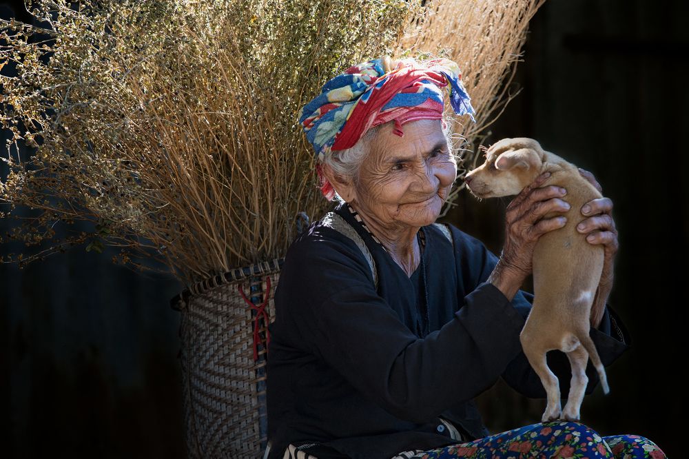 Photograph by Vu Tran Nguyen
