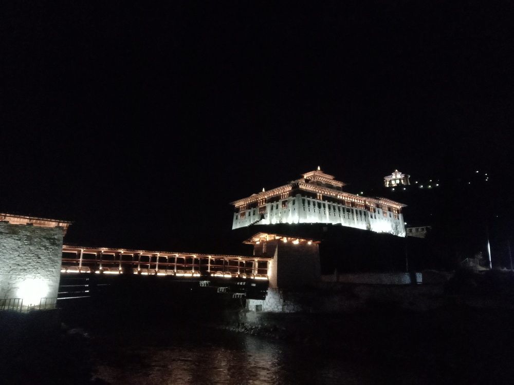 Photo #7361516