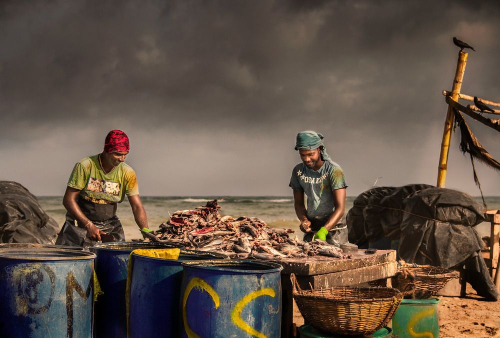 Photograph by Thusara Dilshan