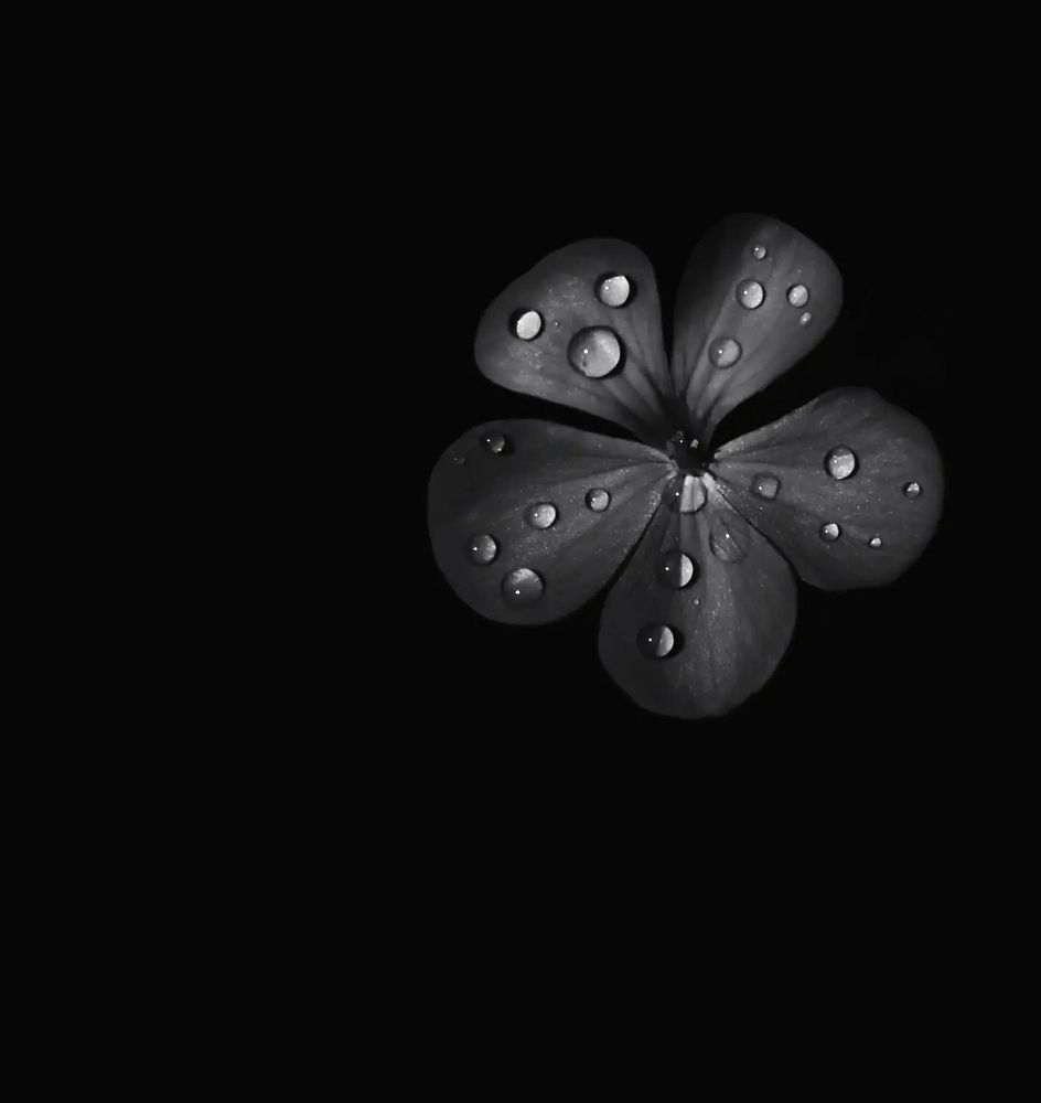 Photograph by Елена