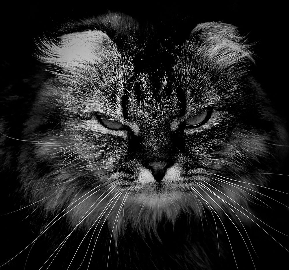 Photograph by Зоя Быкова