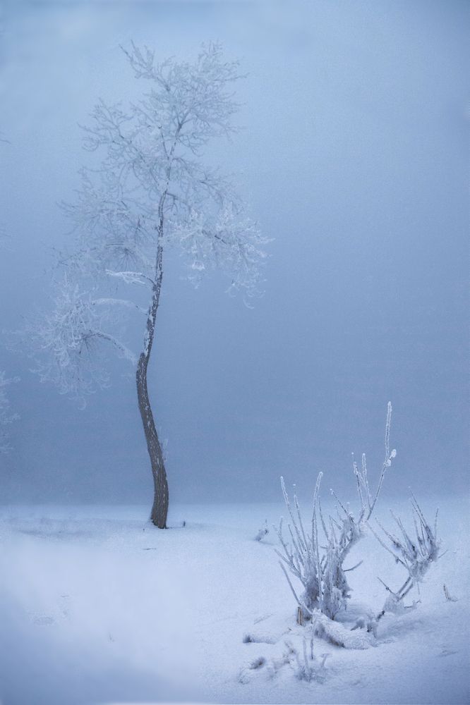 Photograph by Светлана Крат