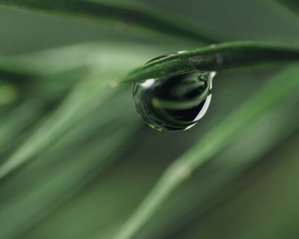 Photograph by Ольга Ларизадех