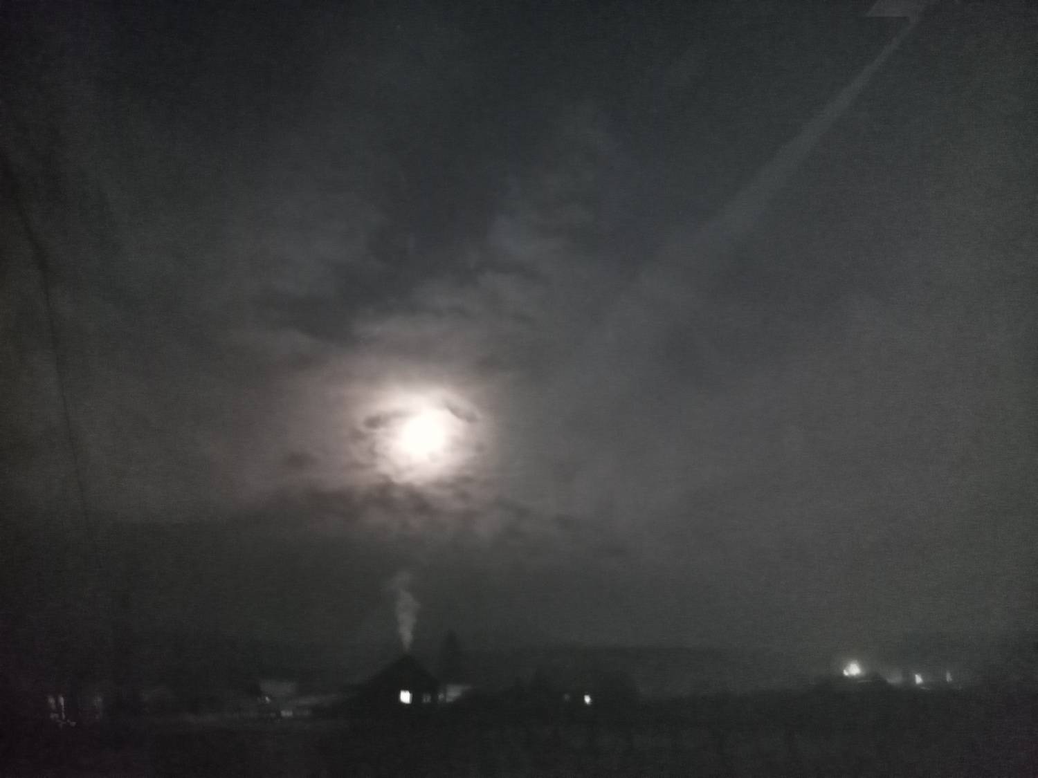 Photo #7361664