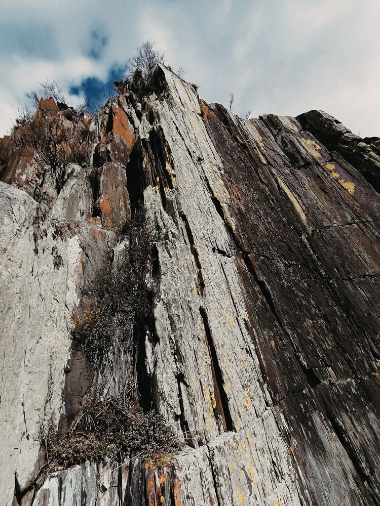 Photograph by Марина Панкова