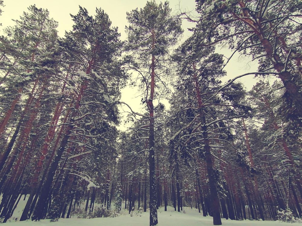 Photograph by Марина Панкова