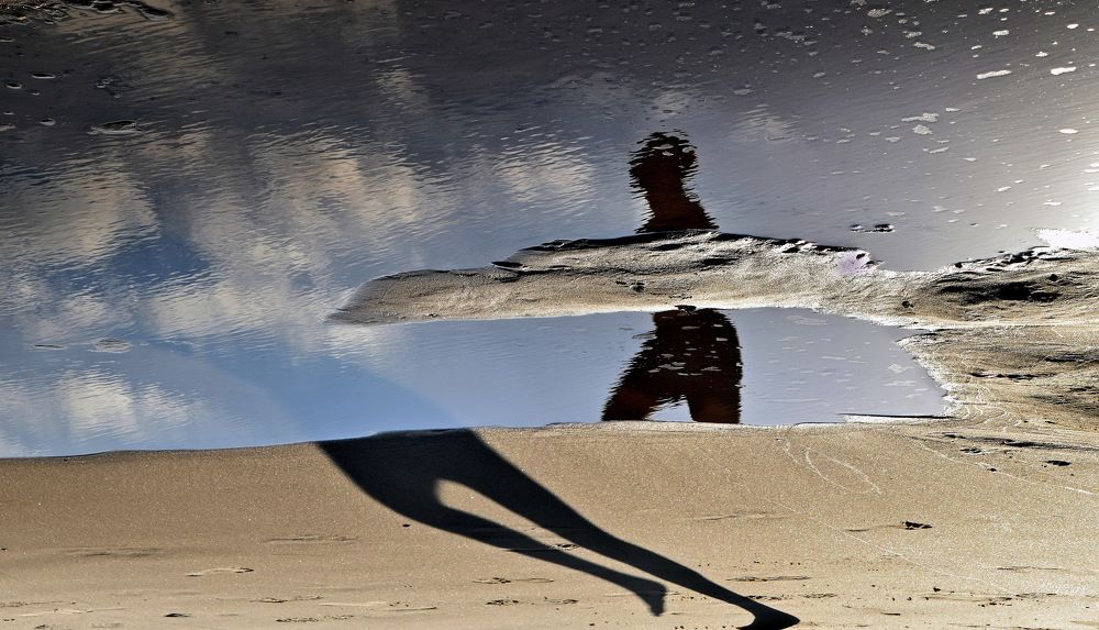 Photograph by David Idan