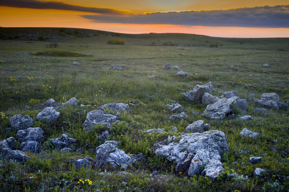 Photograph by Михаил Славный