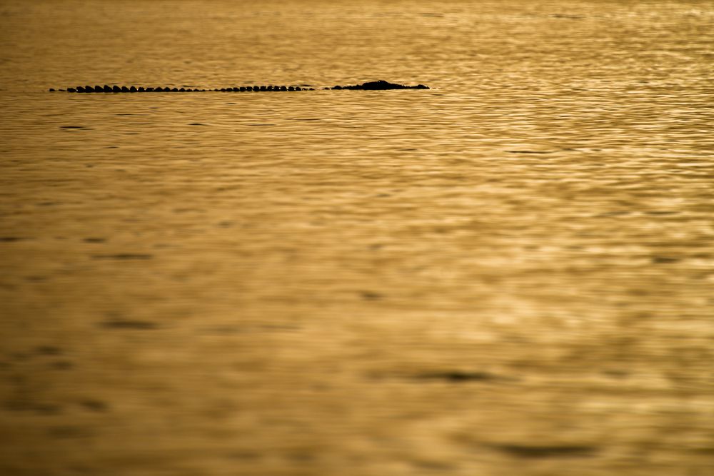 Photograph by Ishaan Shrimali