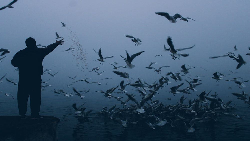 Photograph by Simran