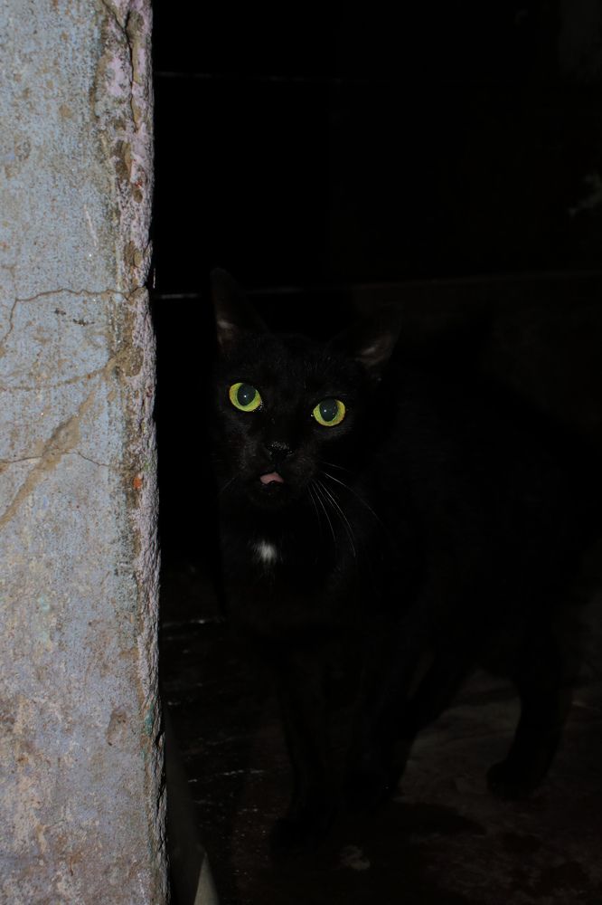 Photograph by Simran