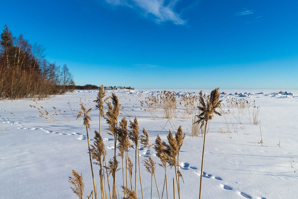 Photograph by Роман Дудкин