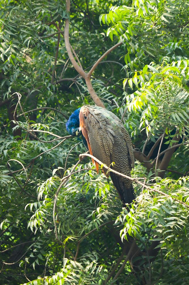 Photograph by Jagriti Srivastava