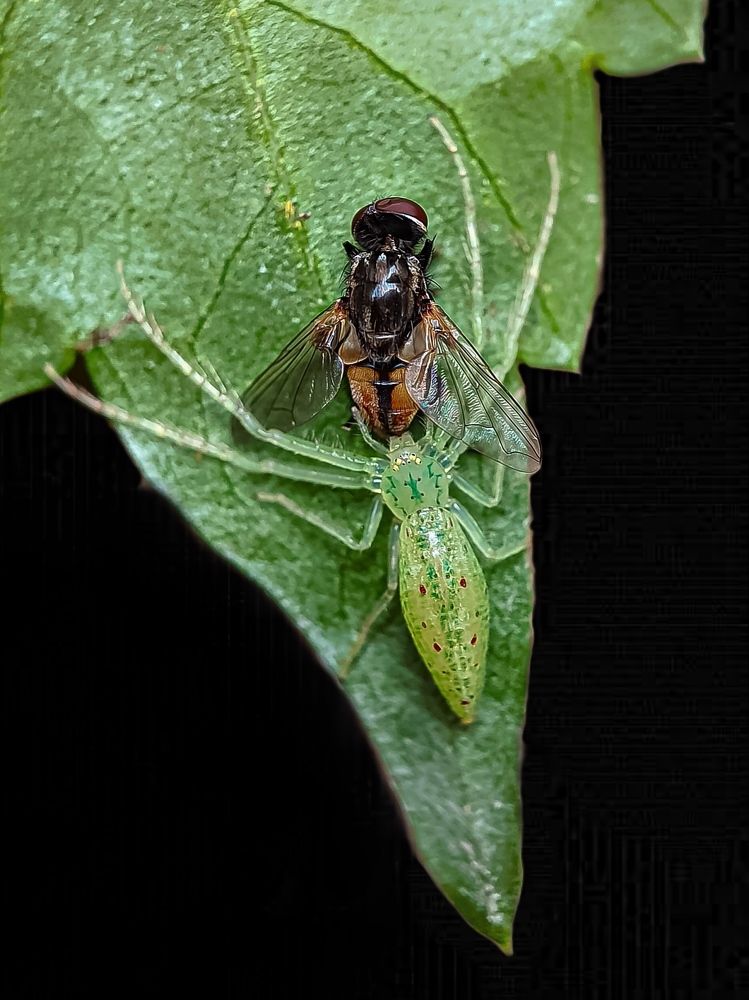 Photograph by Susmita Ghosh