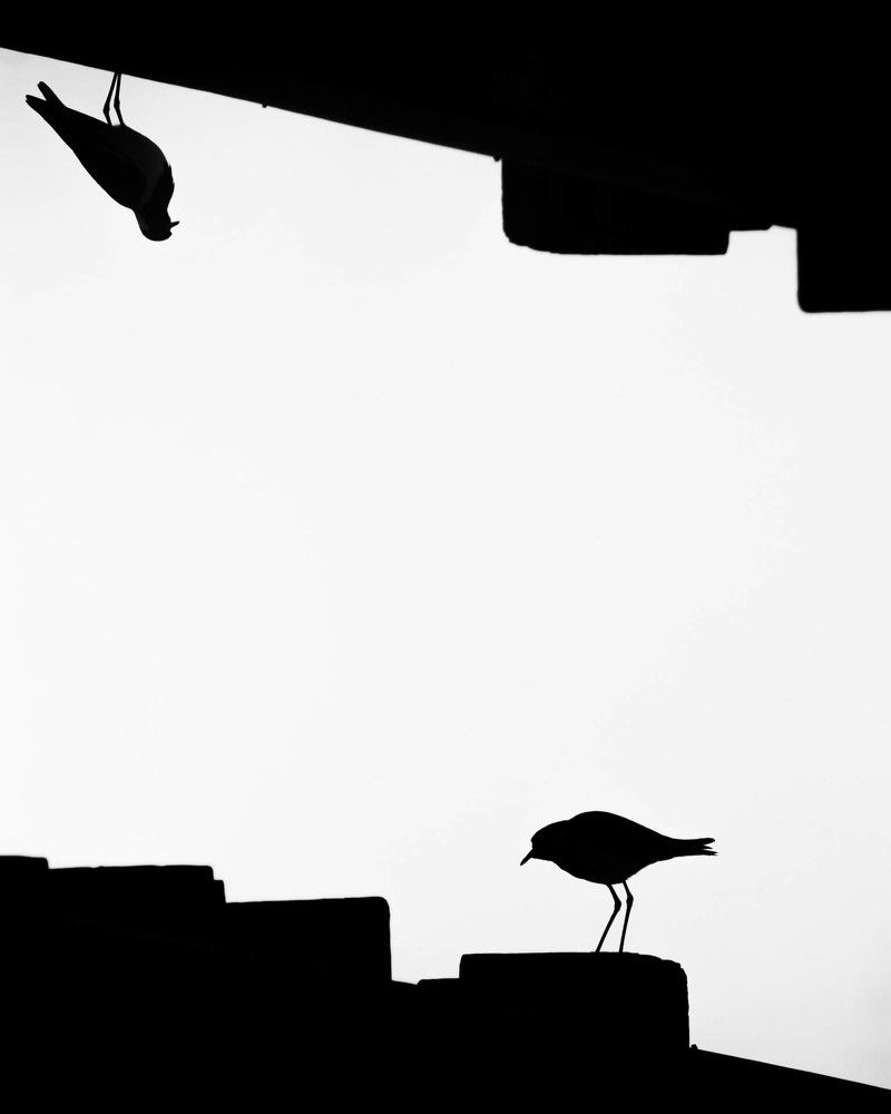 Photograph by Ishaan Shrimali