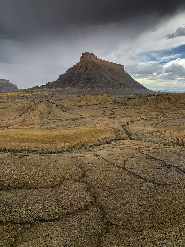 Photograph by Lana Anferow