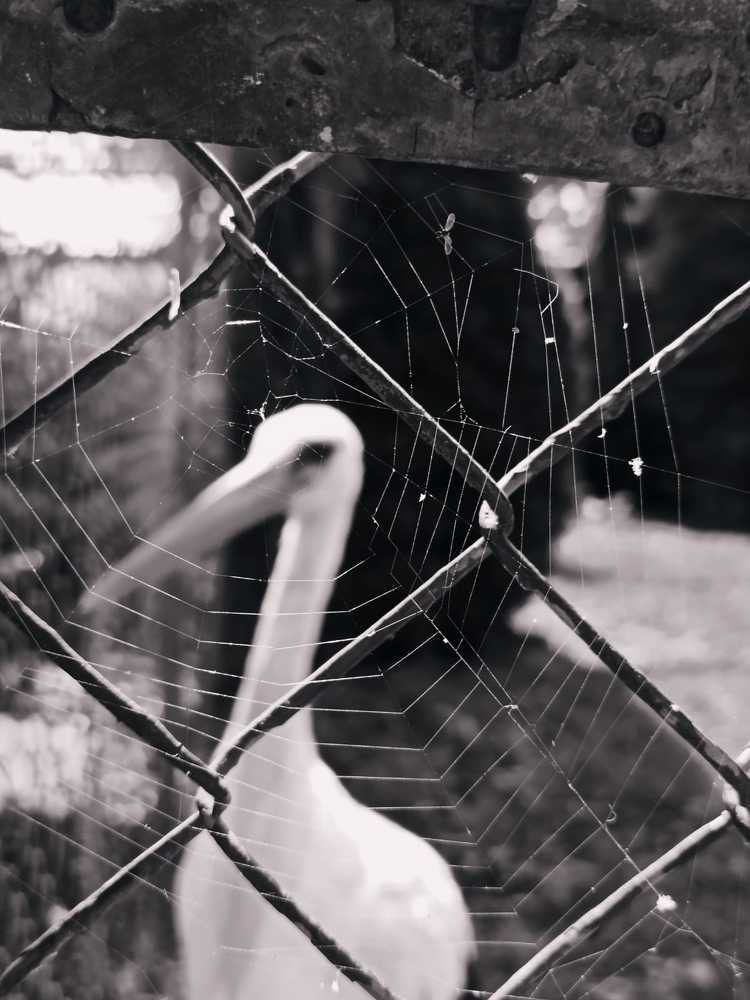 Photograph by Татьяна