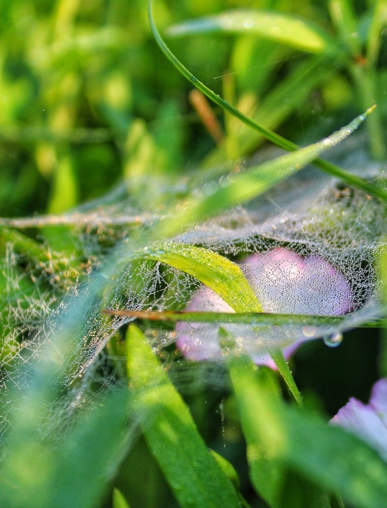 Photograph by Анастасия Маракина