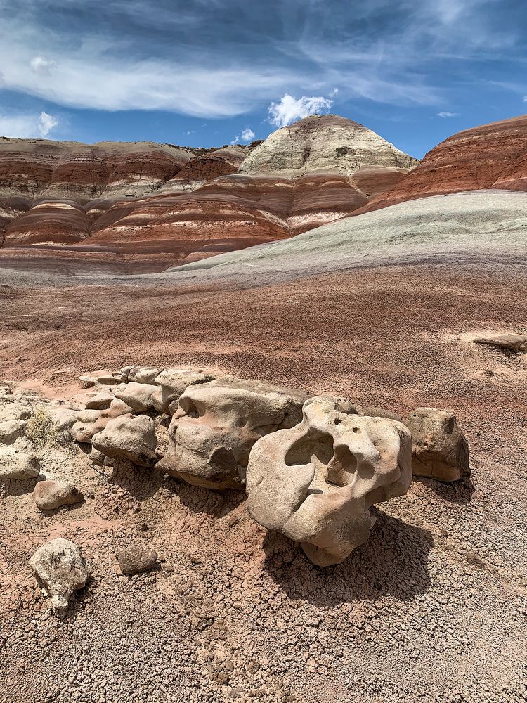 Photograph by Lana Anferow