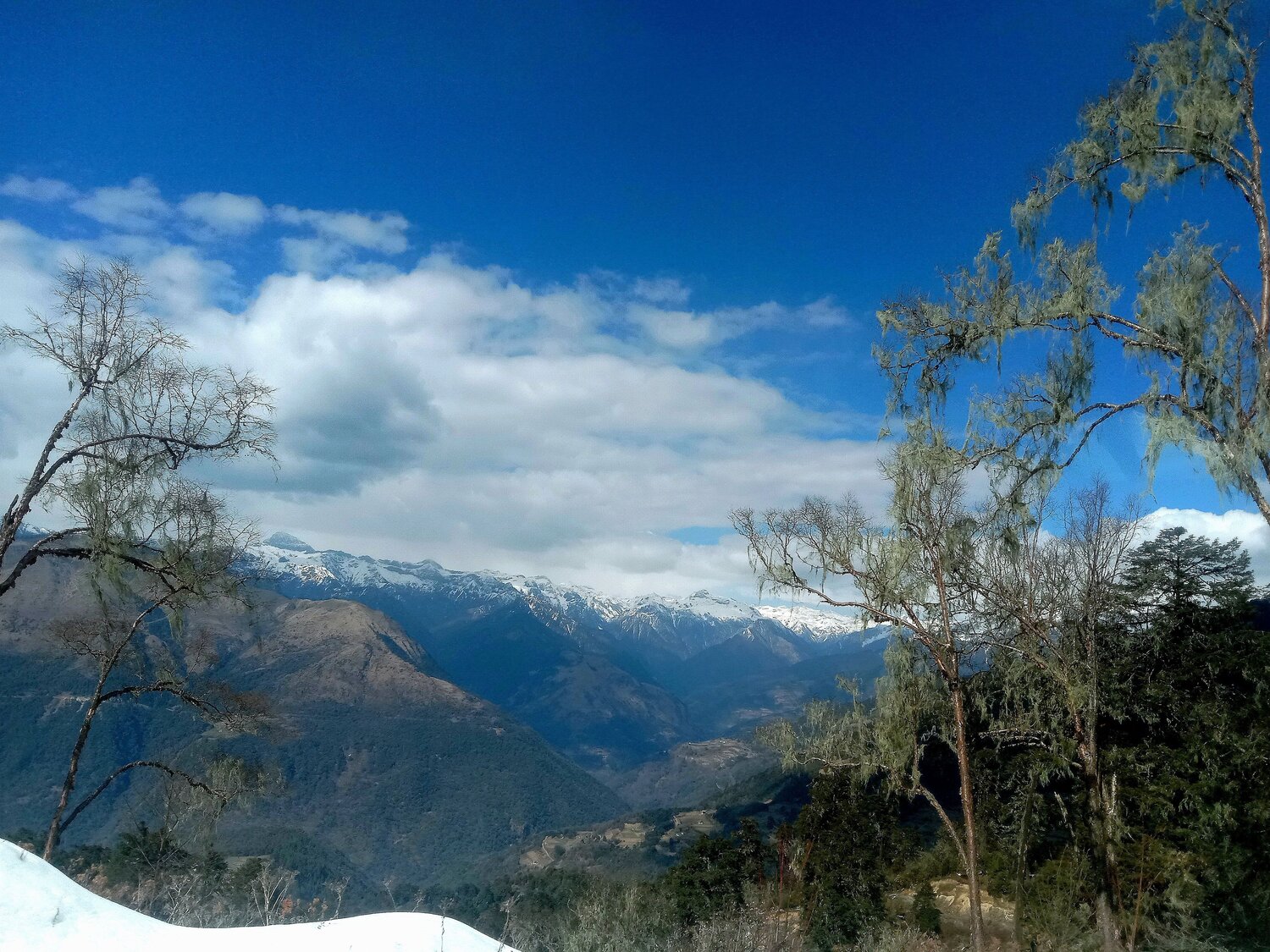 Photo #7361942