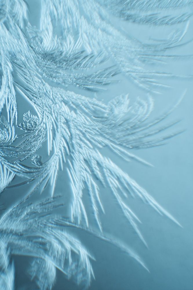 Photograph by Светлана Мухильченко