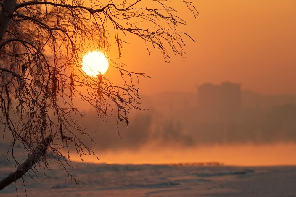 Photograph by Роман Достовалов