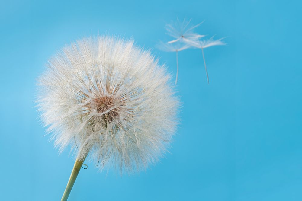 Photograph by Наталья Завьялова