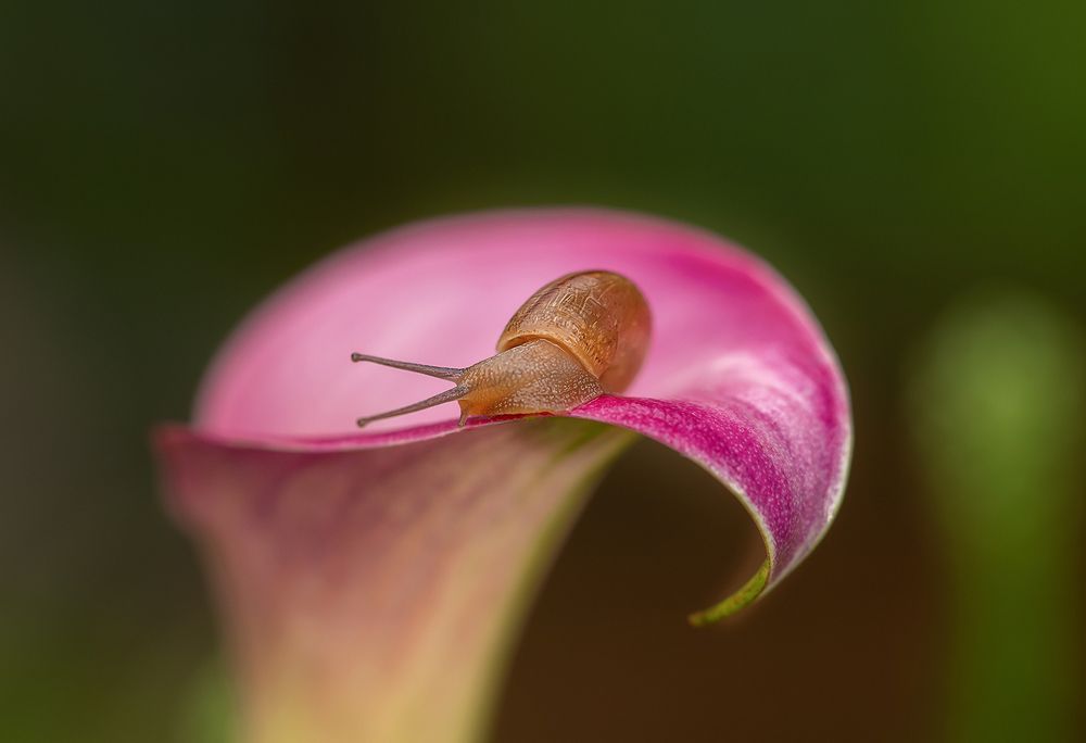 Photograph by Yelena