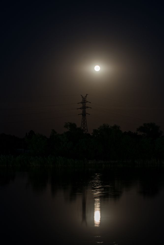 Photograph by Сергей Пашнов