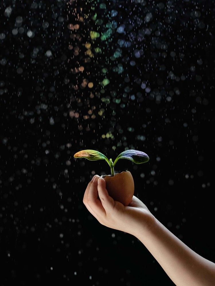 Photograph by Lu Huang