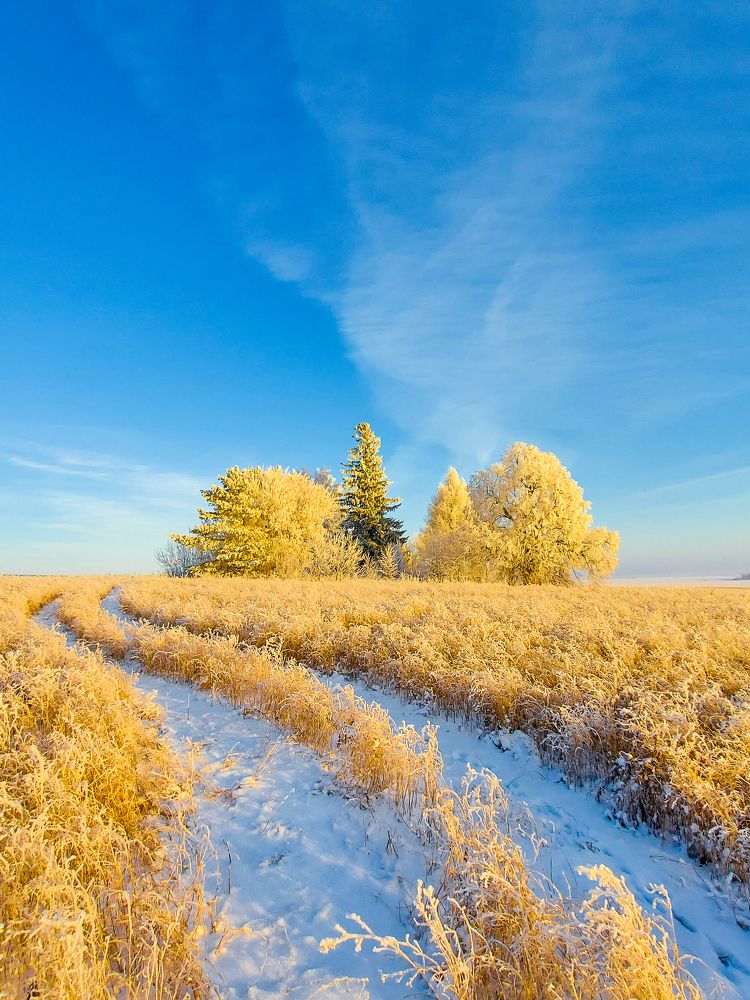 Photograph by Игорь Степанов