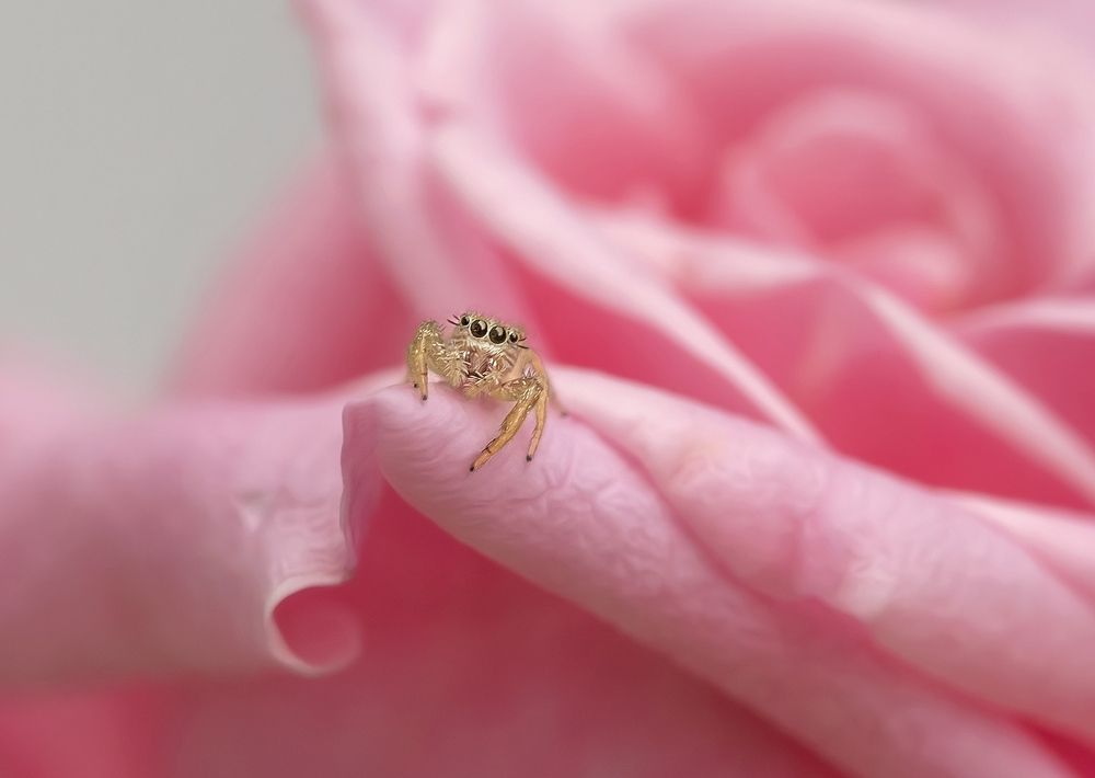 Photograph by Yelena