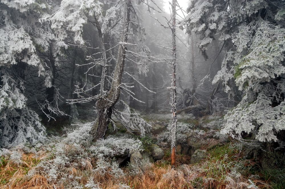 Фотография автора Александър Сандев